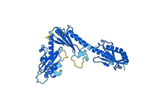 Recombinant Human BABAM2 Protein, N-His