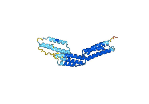 Recombinant Human BAG5, N-His