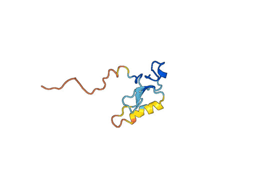 Recombinant Human BAMBI, N-GST