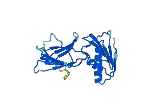 Recombinant Human BBS7 Protein, N-His