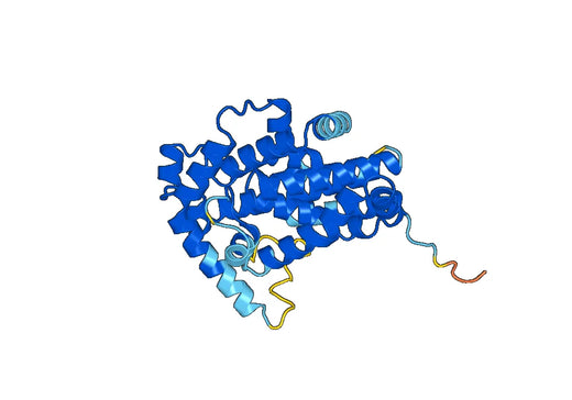 Recombinant Human BCAR3 Protein, N-His