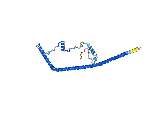 Recombinant Human BCAS2 Protein, N-His