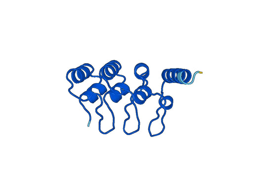 Recombinant Human BCOR Protein, N-His-SUMO