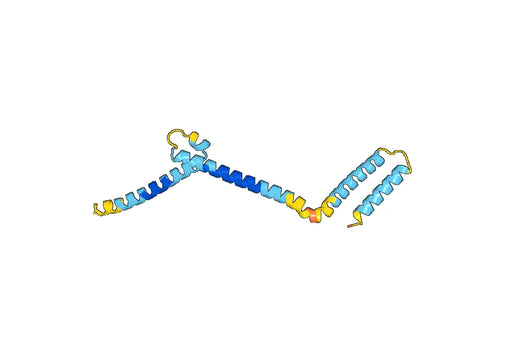 Recombinant Human BHLHE40 Protein, N-His