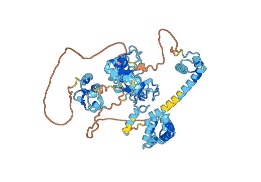 Recombinant Human BIRC2 Protein, N-GST