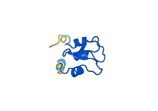 Recombinant Human BIRC2 Protein, N-His