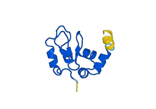 Recombinant Human BIRC2 Protein, N-His