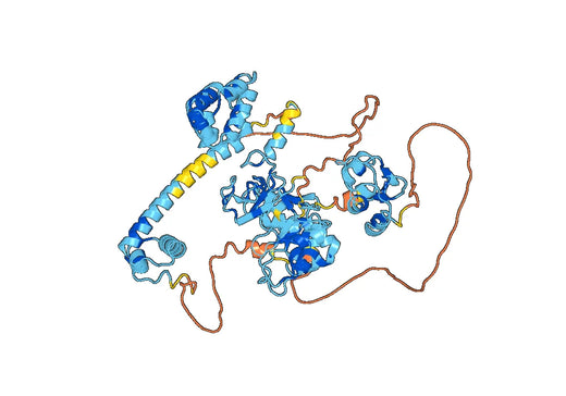 Recombinant Human BIRC2 Protein, N-His
