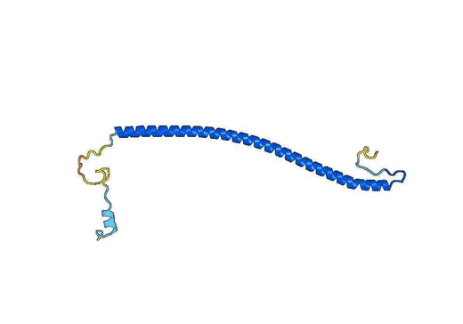 Recombinant Human BORCS5 Protein, N-GST & C-His