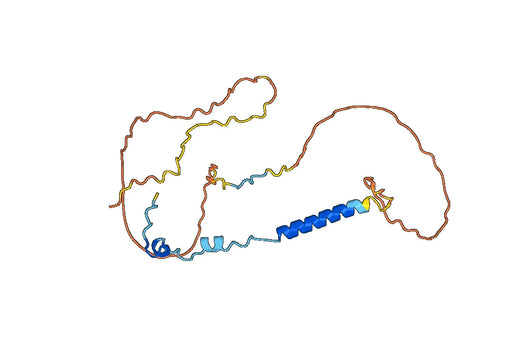 Recombinant Human BRCA2, N-His