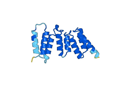 Recombinant Human BUB1 Protein, N-His