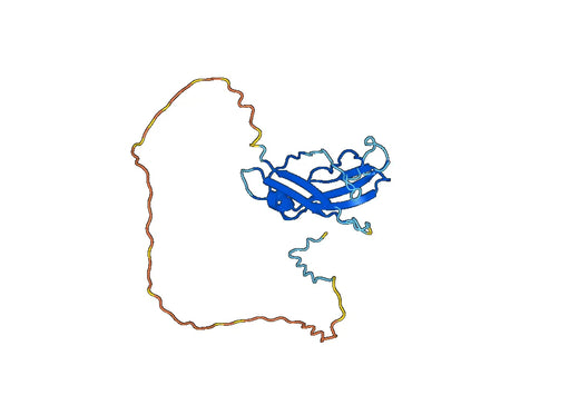 Recombinant Human C2CD3, N-GST