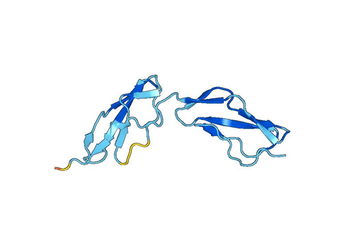 Recombinant Human C7/Complement component C7 Protein, N-His-SUMO