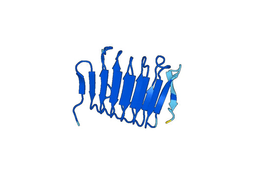 Recombinant Human CAP1, N-His