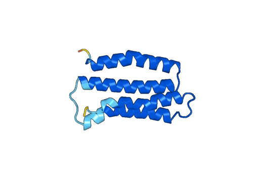 Recombinant Human CAP1, N-His, Ala38-Lys149