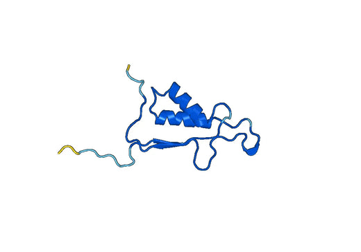Recombinant Human CASP6, N-His