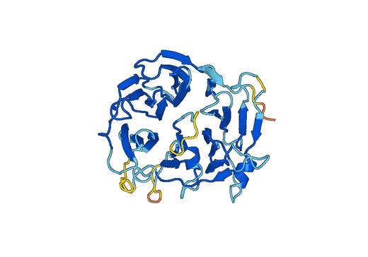 Recombinant Human CATSPERB Protein, N-His