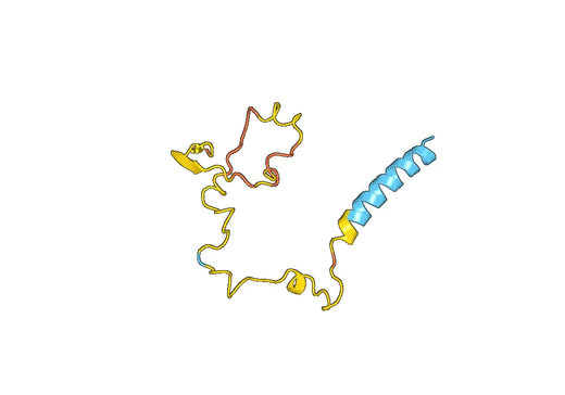 Recombinant Human CAV1, N-His