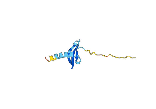 Recombinant Human CBX5 Protein, N-His-SUMO