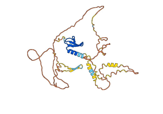 Recombinant Human CBX6 Protein, N-Strep