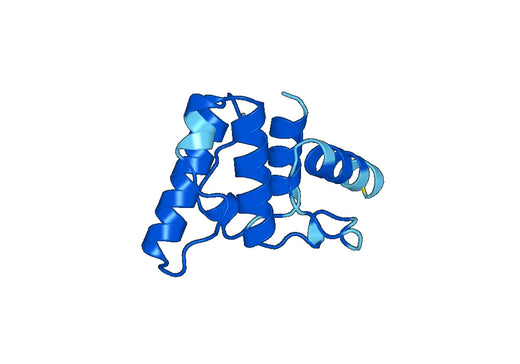 Recombinant Human CCDC22 Protein, N-His