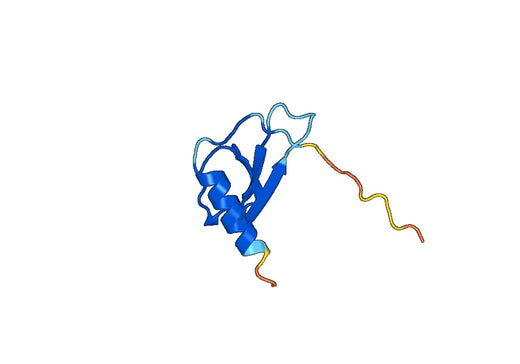 Recombinant Human CCL7/MCP-3, N-His