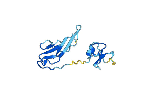 Recombinant Human CD100/SEMA4D, N-His