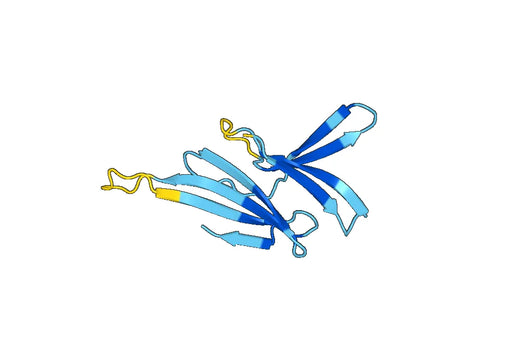 Recombinant Human CD103/ITGAE Protein, N-His-SUMO