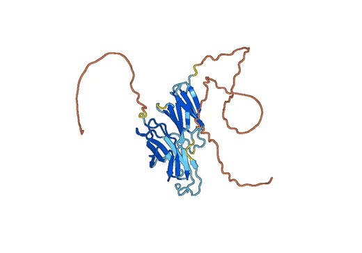 Recombinant Human CD104/ITGB4 Protein, N-His