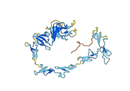 Recombinant Human CD141/THBD Protein, C-His
