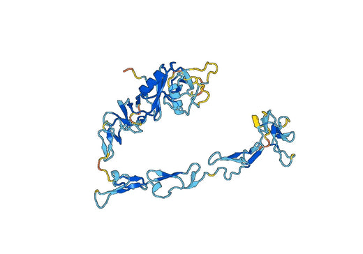 Recombinant Human CD141/THBD Protein, N-His