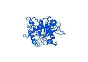 Recombinant Human CD156b/ADAM17, N-His