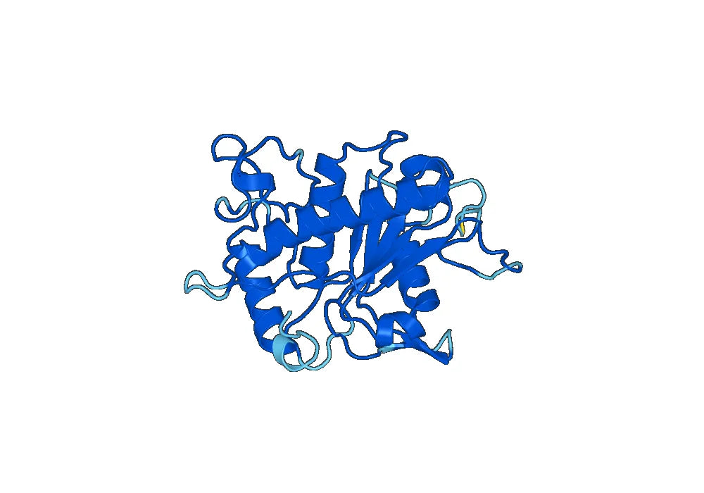 Recombinant Human CD156b/ADAM17, N-His