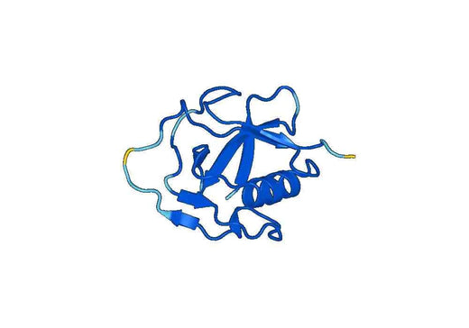 Recombinant Human CD163 Protein, N-GST & C-His
