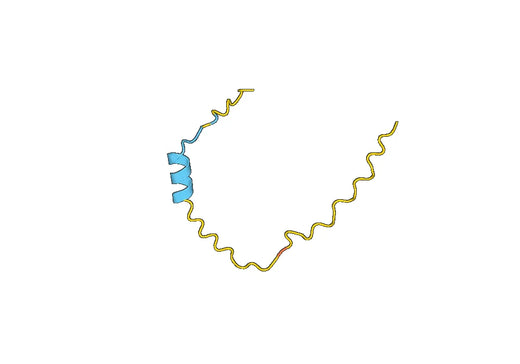 Recombinant Human CD183/CXCR3, N-GST