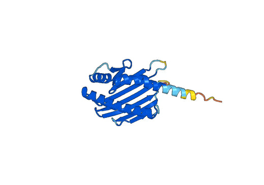 Recombinant Human CD201/PROCR, N-His