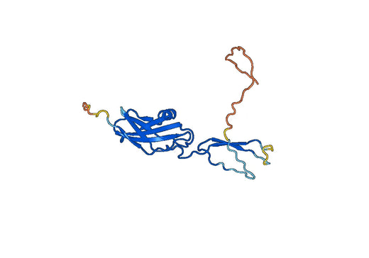 Recombinant Human CD220/INSR, N-His