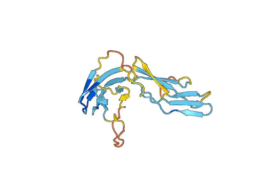 Recombinant Human CD229/LY9, N-His