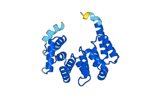 Recombinant Human CD249/ENPEP, N-His