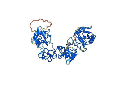 Recombinant Human CD280/MRC2, N-His