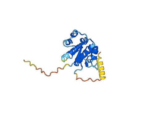 Recombinant Human CD285/TLR5 Protein, N-GST