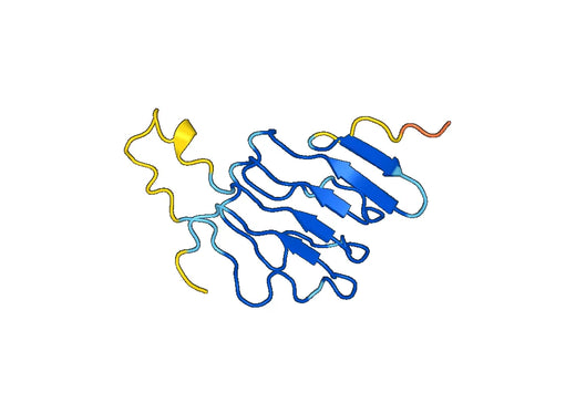 Recombinant Human CD288/TLR8, N-His