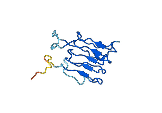 Recombinant Human CD289/TLR9, N-His