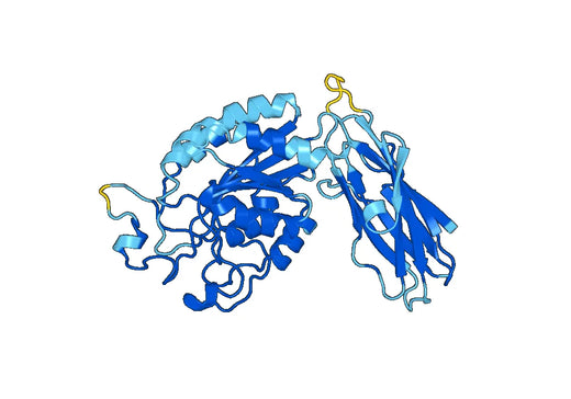 Recombinant Human CD29/ITGB1 Protein, N-His