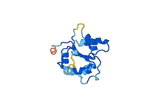Recombinant Human CD290/TLR10, N-His