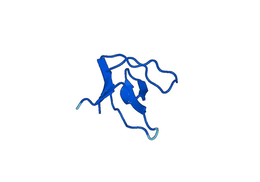 Recombinant Human CD2AP Protein, N-His-SUMO