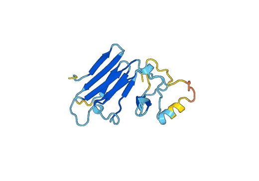 Recombinant Human CD312/ADGRE2, N-His