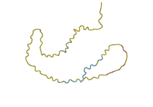 Recombinant Human CD362/SDC2 Protein, N-His-SUMO