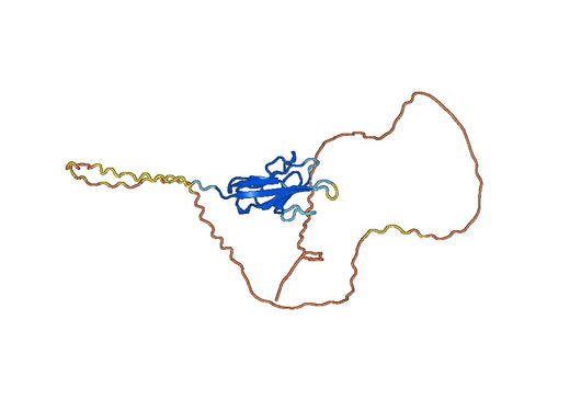 Recombinant Human CD365/KIM-1/TIM-1/HAVCR1, N-His