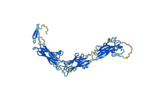 Recombinant Human CD49f/ITGA6 Protein, N-His